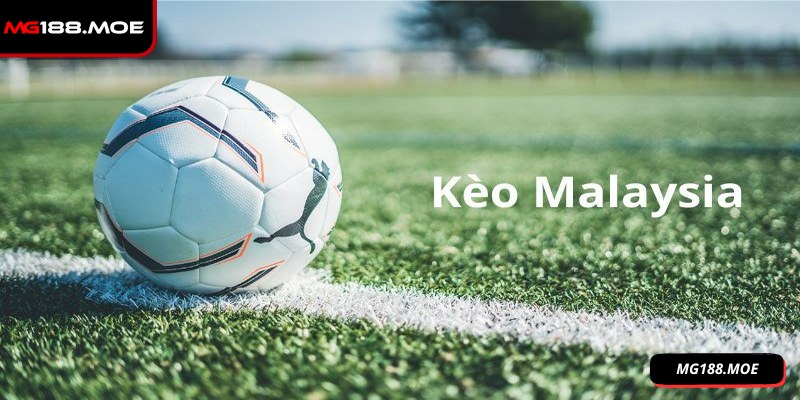 Hình thức xanh chín giúp giảm thiểu rủi ro