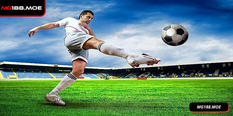 Dạng cược được ưa chuộng nhờ tính an toàn cao